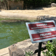 Danger sign next to water feature