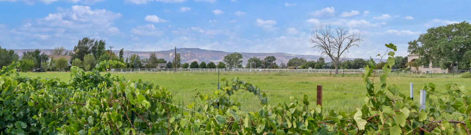 2324 I Road Land For Sale, showing grapevine