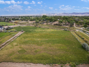 2324 I Road Land For Sale pasture furrow