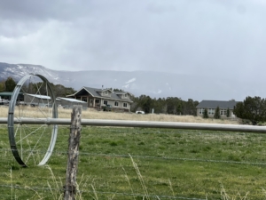 Irrigation drainage field with irrigation pipe running along the surface