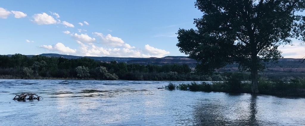 Colorado River looking full with trees and riverbank. Water Rights and Irrigation Water start here in Grand Junction