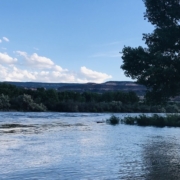 Colorado River looking full with trees and riverbank. Water Rights and Irrigation Water start here in Grand Junction